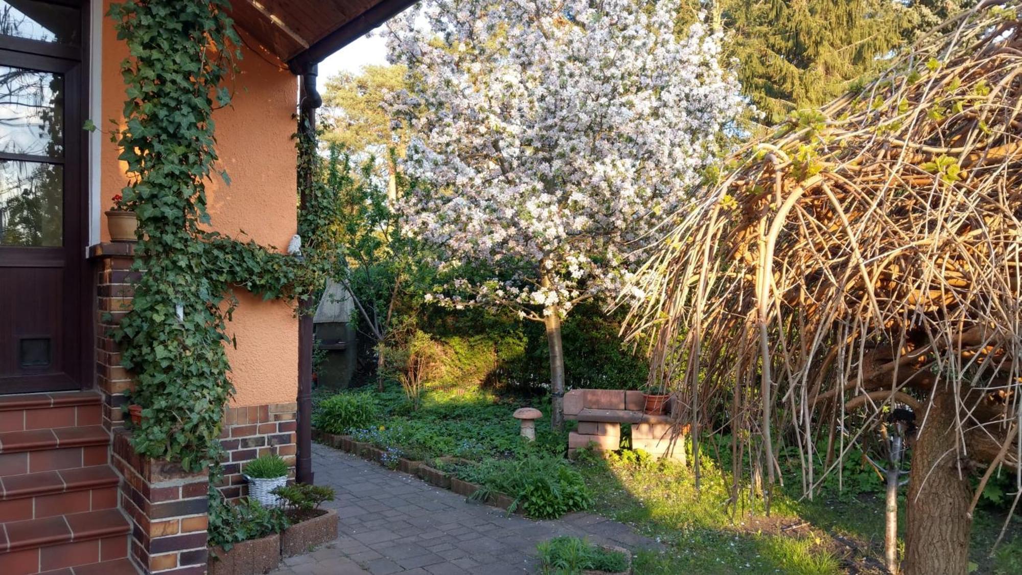 Ferienwohnung Luise, Gemuetlich, Freundlich Und Ganz Nah An Berlin Oranienburg Exteriér fotografie